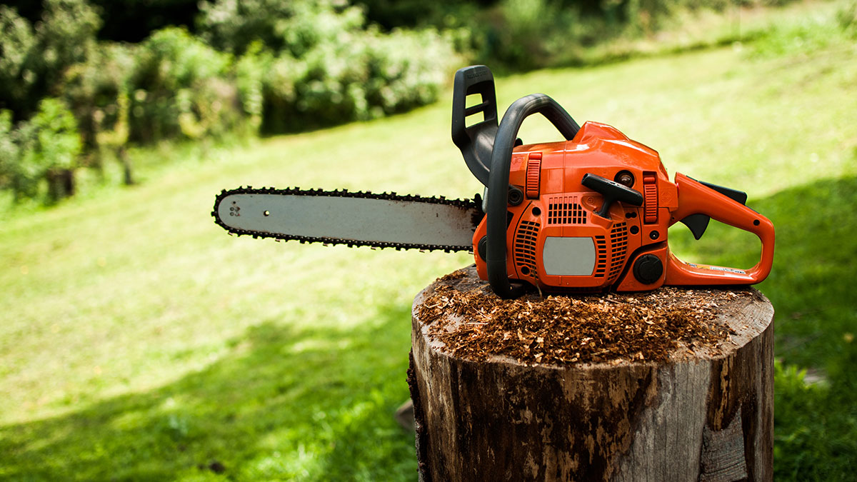 Chainsaw safety training